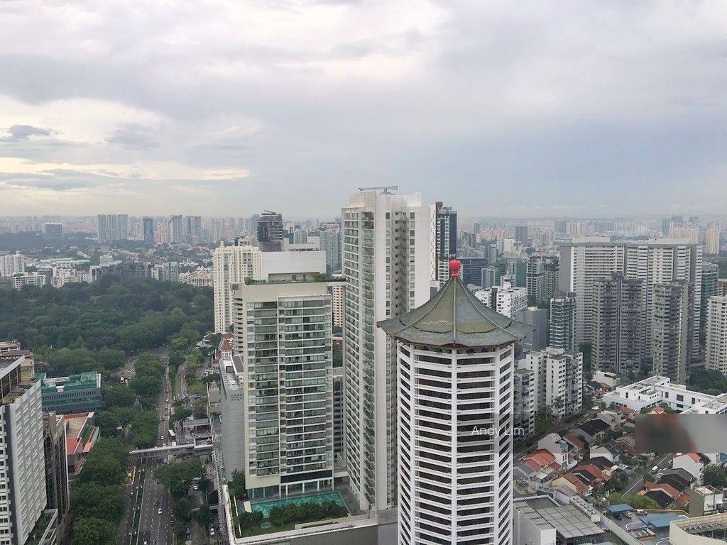 The Orchard Residences (D9), Apartment #106697272